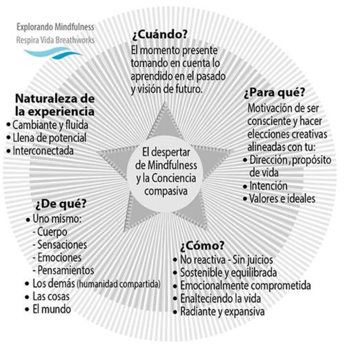EXPLORANDO MINDFULNESS