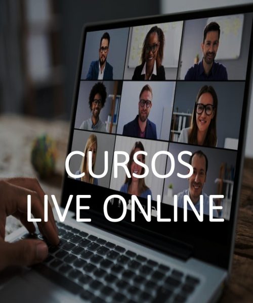 ONLINE -CURSOS 1